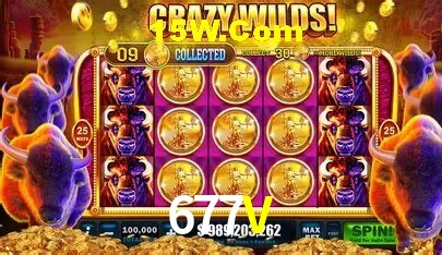 677V Brasília - Betting Features